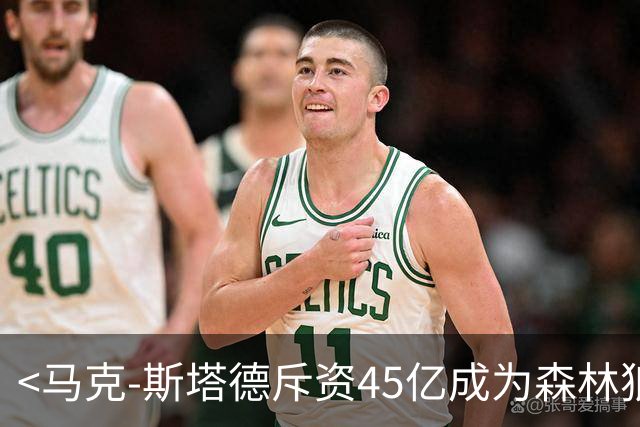 <马克-斯塔德斥资45亿成为森林狼控股人>