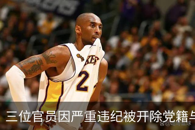 三位官员因严重违纪被开除党籍与公职