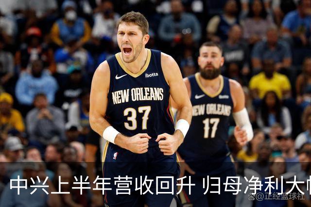中兴上半年营收回升 归母净利大幅下滑