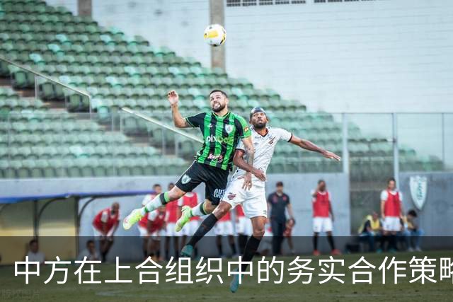中方在上合组织中的务实合作策略
