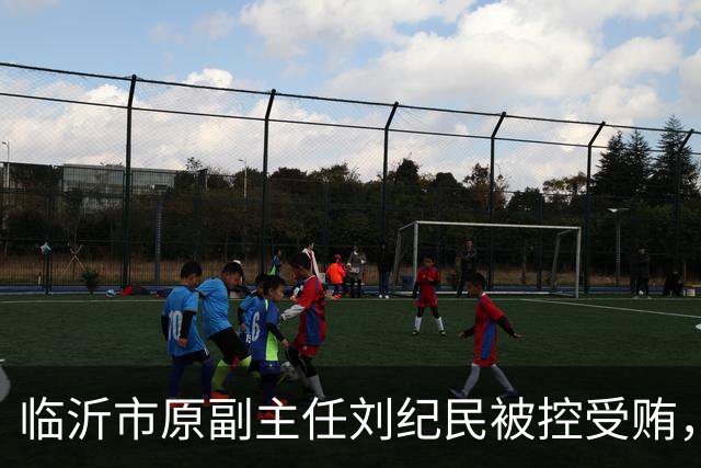 临沂市原副主任刘纪民被控受贿，涉嫌严重违纪违法