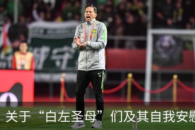 关于“白左圣母”们及其自我安慰的观点探讨