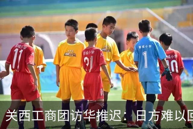 关西工商团访华推迟：日方难以回避政治后果