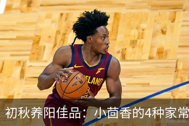 初秋养阳佳品：小茴香的4种家常吃法