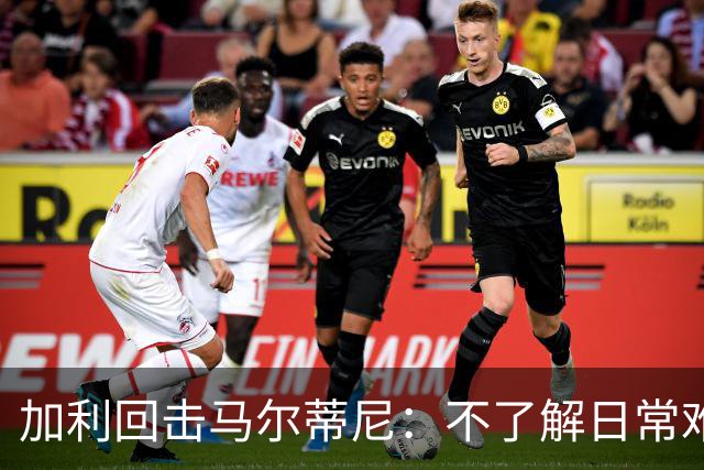 加利回击马尔蒂尼：不了解日常难评青训
