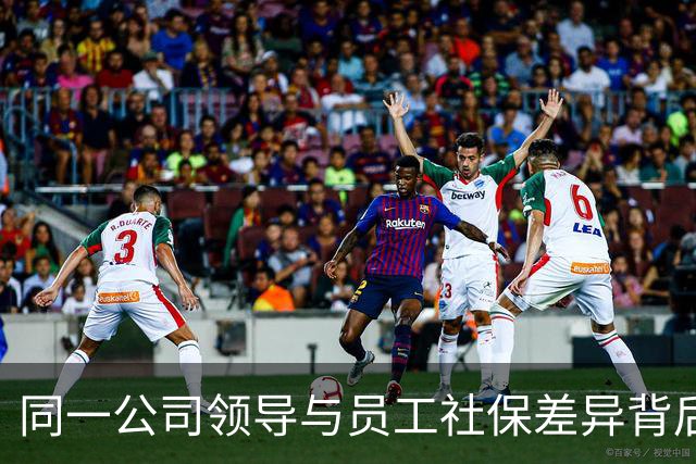 同一公司领导与员工社保差异背后的真相