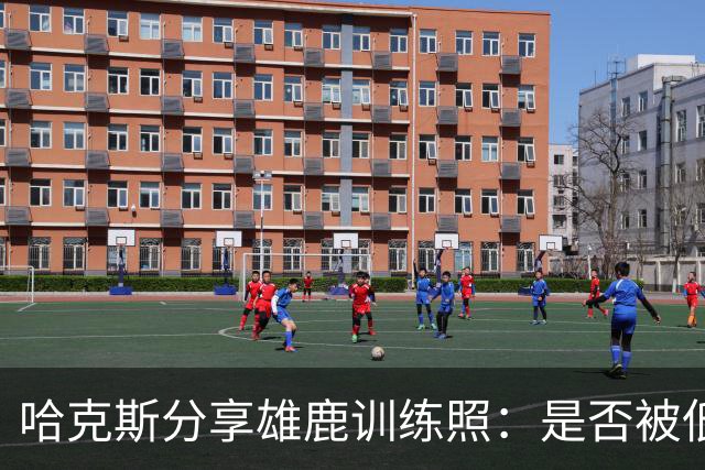 哈克斯分享雄鹿训练照：是否被低估？