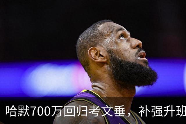 哈默700万回归考文垂，补强升班中场