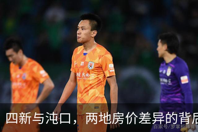 四新与沌口，两地房价差异的背后