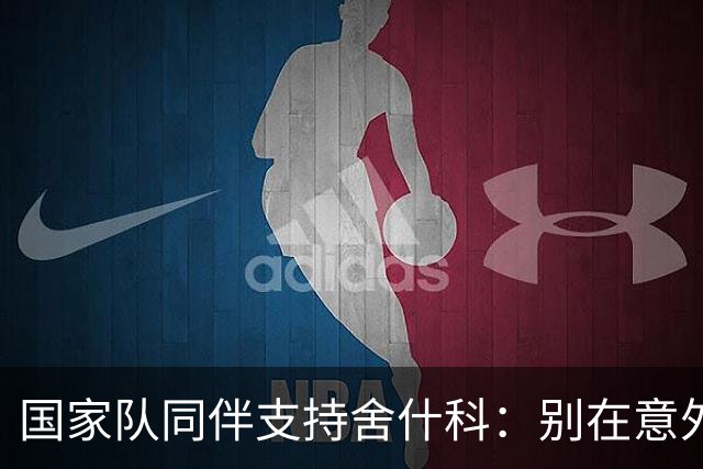 国家队同伴支持舍什科：别在意外界批评，他了解自己的能力
