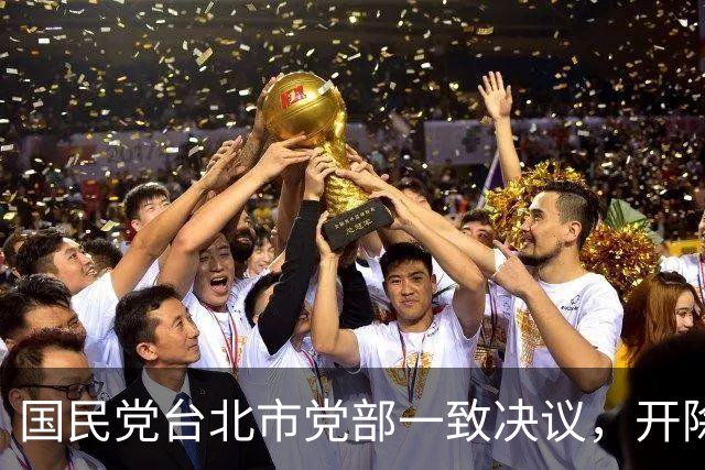 国民党台北市党部一致决议，开除叛徒丁瑀党籍，考纪会本周将核准