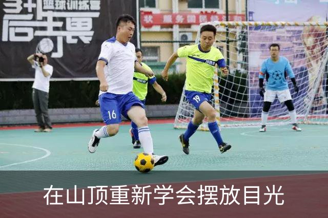 在山顶重新学会摆放目光