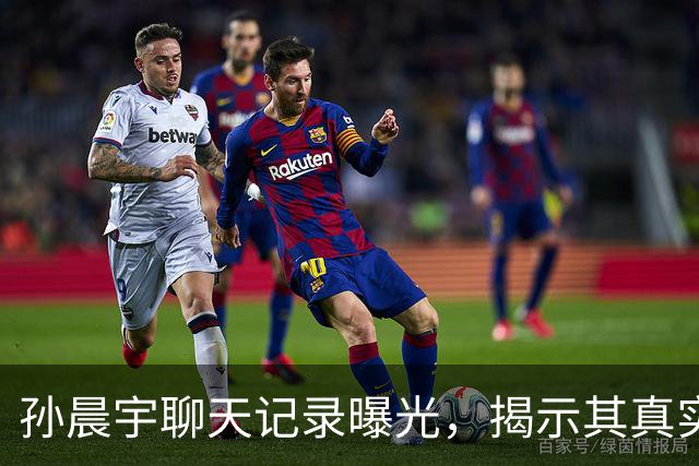 孙晨宇聊天记录曝光，揭示其真实人设与动机