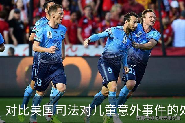 对比美国司法对儿童意外事件的处理：更严格的保护与原则