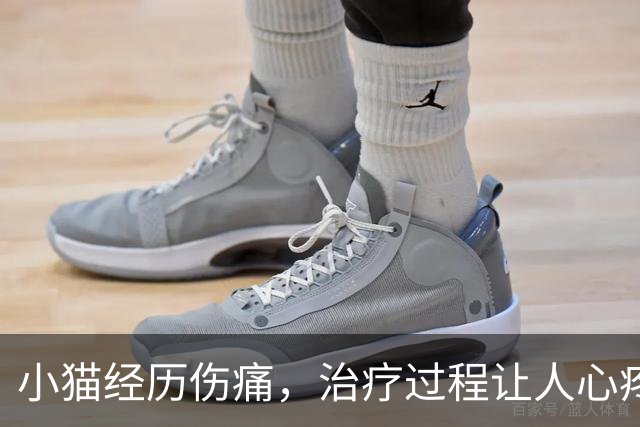 小猫经历伤痛，治疗过程让人心疼