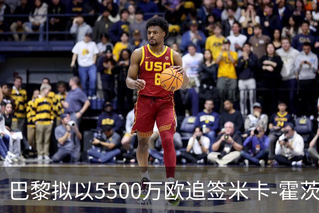 巴黎拟以5500万欧追签米卡-霍茨