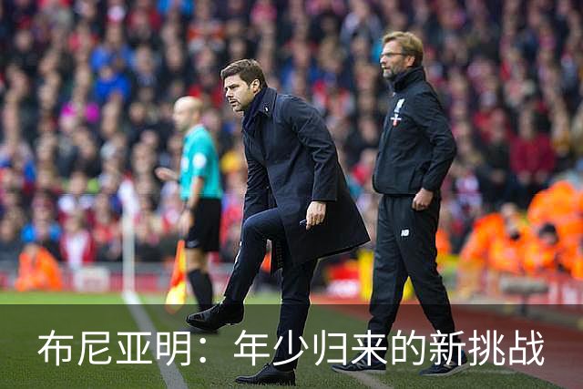 布尼亚明：年少归来的新挑战