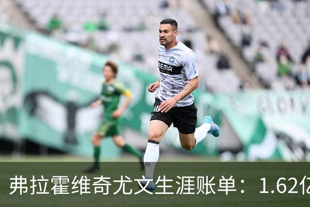 弗拉霍维奇尤文生涯账单：1.62亿换来68球