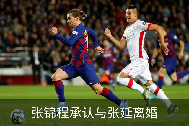 张锦程承认与张延离婚