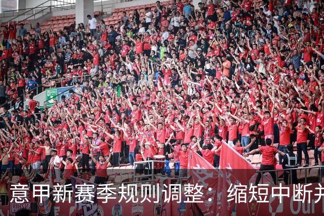 意甲新赛季规则调整：缩短中断并扩大VAR