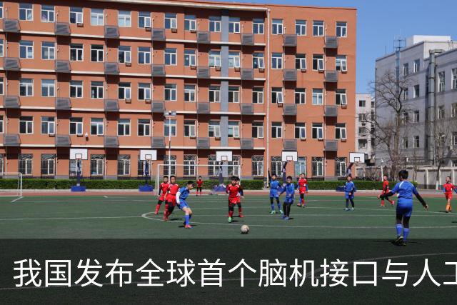 我国发布全球首个脑机接口与人工智能结合的标准