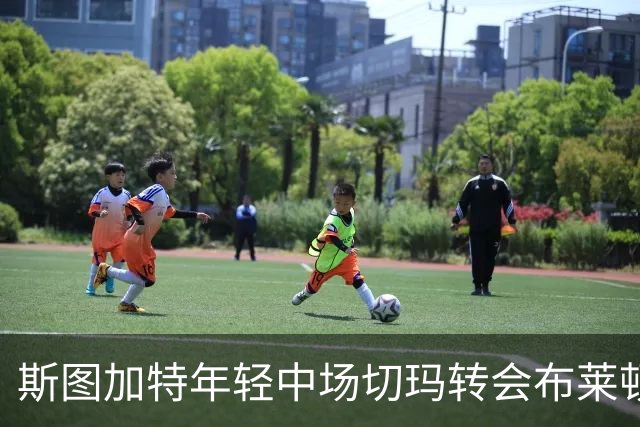 斯图加特年轻中场切玛转会布莱顿已确认