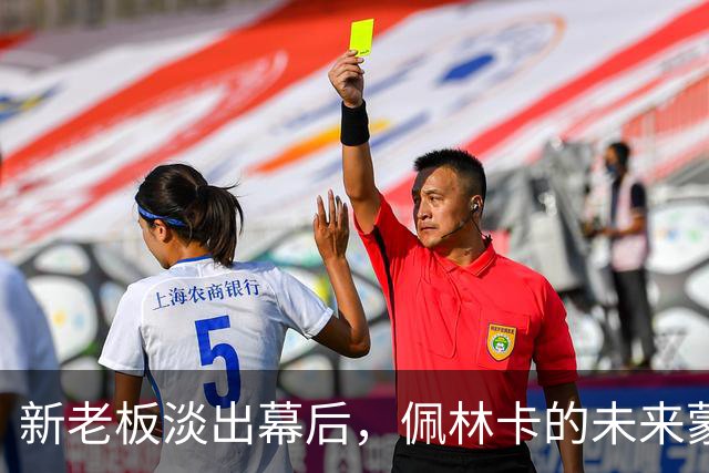 新老板淡出幕后，佩林卡的未来蒙上变数