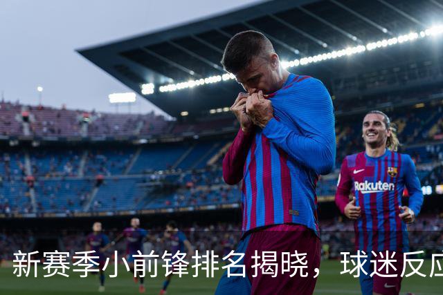新赛季小前锋排名揭晓，球迷反应如何？