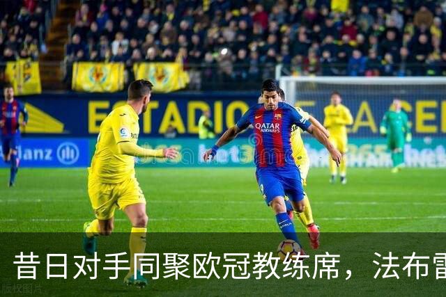 昔日对手同聚欧冠教练席，法布雷加斯引领新篇章