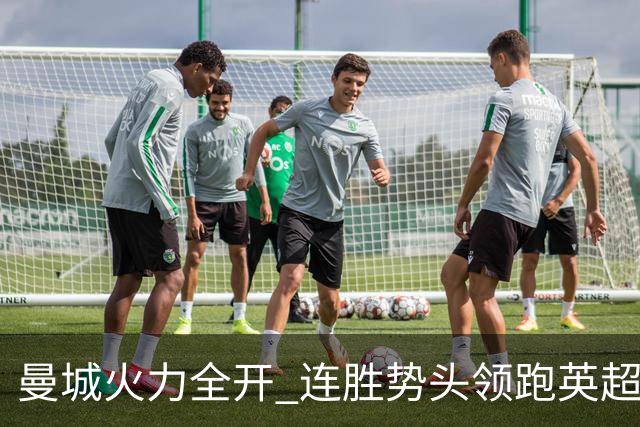 曼城火力全开 连胜势头领跑英超
