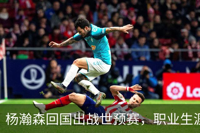 杨瀚森回国出战世预赛，职业生涯面临抉择