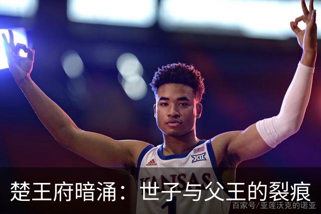 楚王府暗涌：世子与父王的裂痕