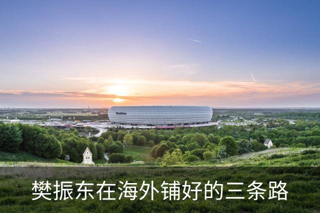 樊振东在海外铺好的三条路