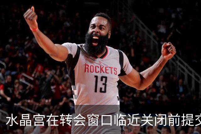 水晶宫在转会窗口临近关闭前提交三宗交易