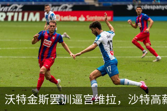 沃特金斯罢训逼宫维拉，沙特高薪撬动英超情义