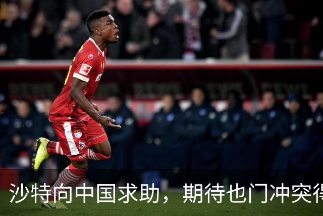 沙特向中国求助，期待也门冲突得到和平解决