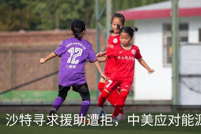 沙特寻求援助遭拒，中美应对能源风波显分歧