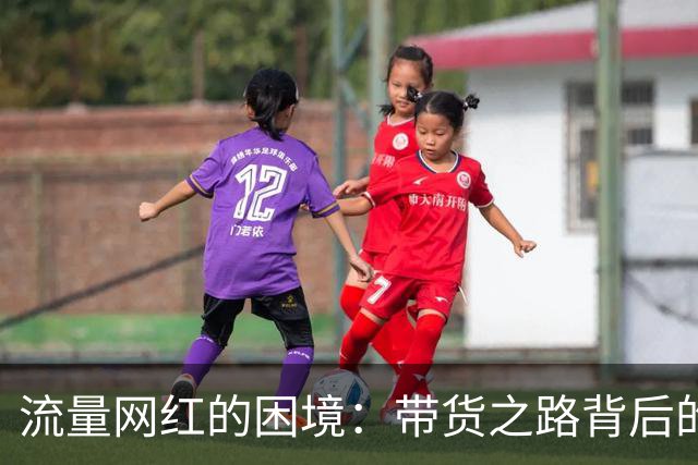 流量网红的困境：带货之路背后的代价