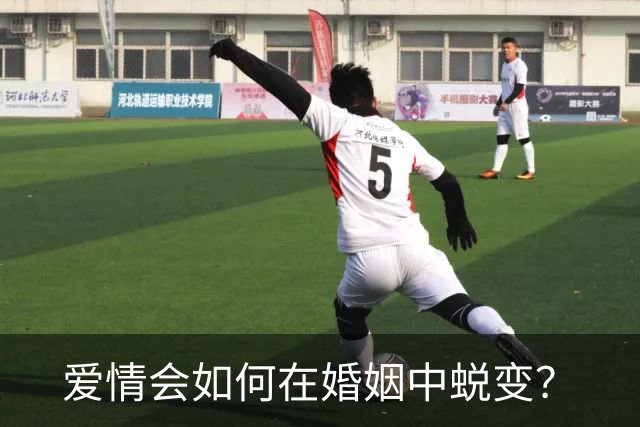 爱情会如何在婚姻中蜕变？