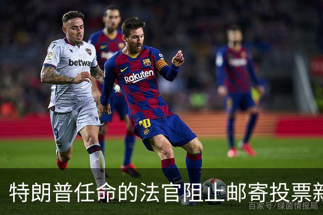特朗普任命的法官阻止邮寄投票新规实施