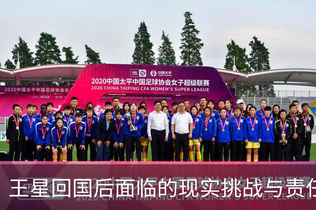 王星回国后面临的现实挑战与责任
