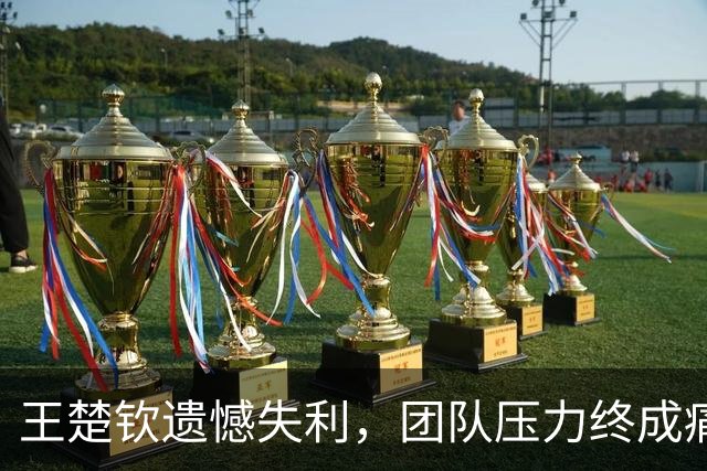 王楚钦遗憾失利，团队压力终成痛点