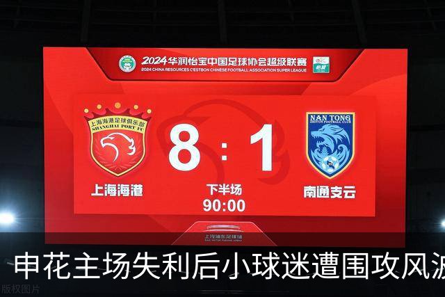 申花主场失利后小球迷遭围攻风波