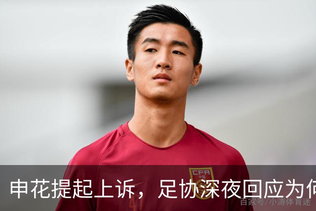 申花提起上诉，足协深夜回应为何不重赛