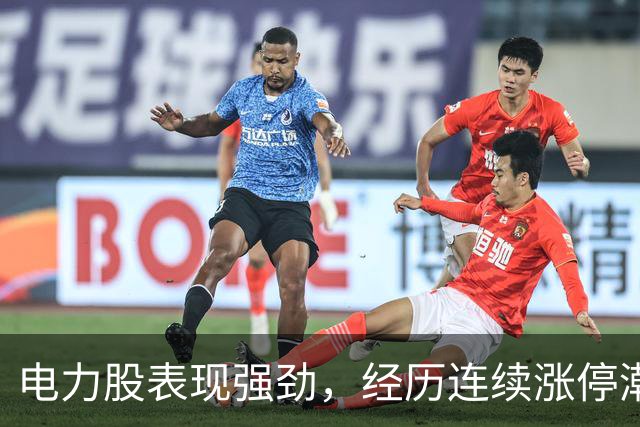 电力股表现强劲，经历连续涨停潮