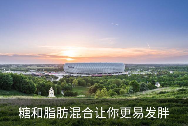 糖和脂肪混合让你更易发胖
