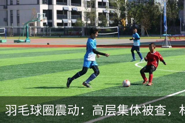 羽毛球圈震动：高层集体被查，林丹早已洞察未来