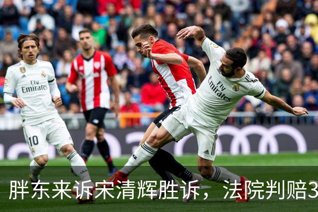 胖东来诉宋清辉胜诉，法院判赔30万元并公开道歉