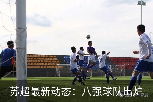 苏超最新动态：八强球队出炉