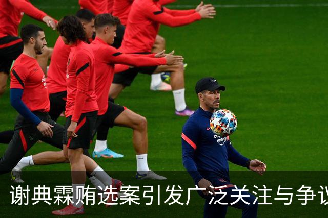 谢典霖贿选案引发广泛关注与争议，检方回应人权质疑